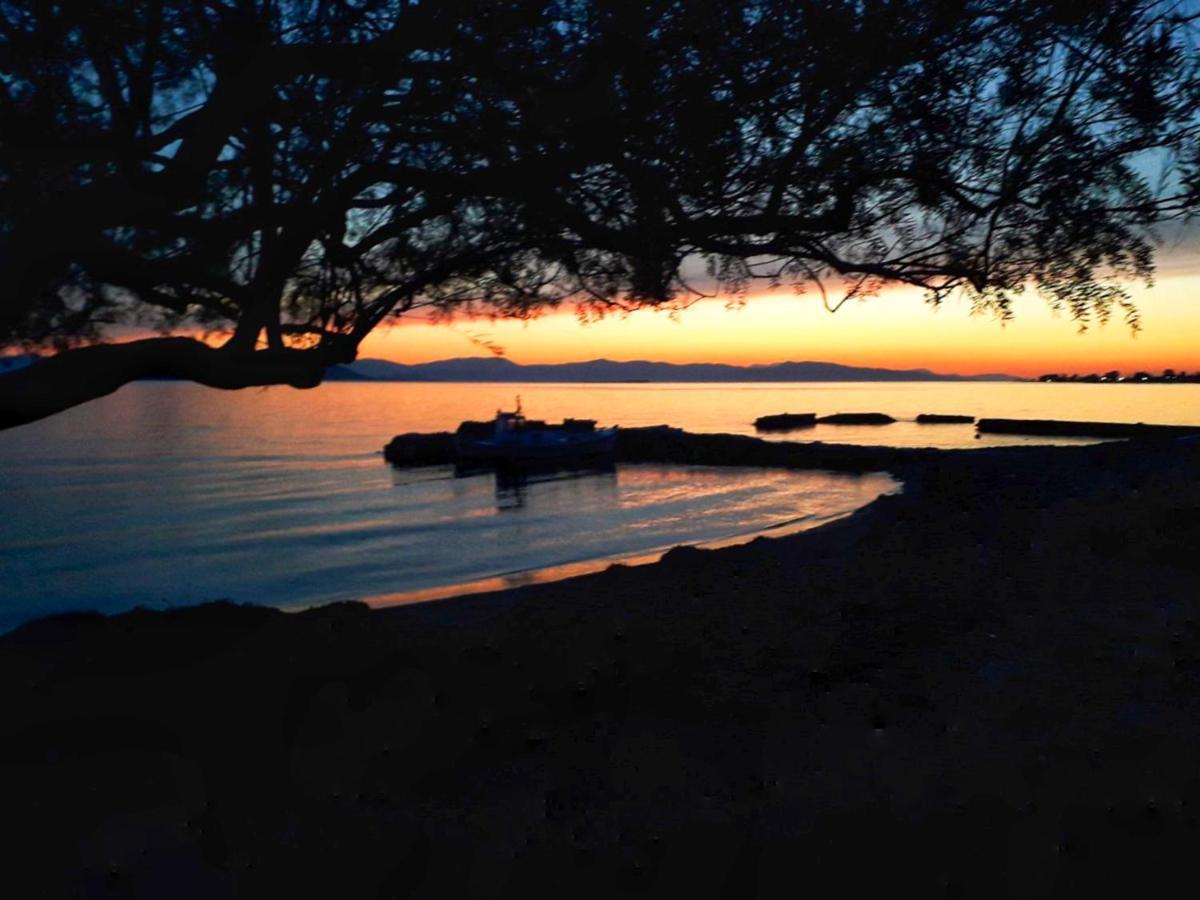 Elegant New Maisonette Near The Sea Aegina Ngoại thất bức ảnh